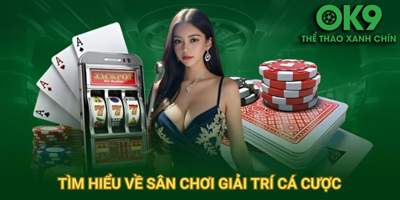 Nhà Cái OK9 – Khám Phá Địa Chỉ Cá Cược Hàng Đầu